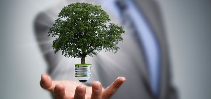 How Small Businesses Can Go Green While Keeping Their Electricity Bills Low